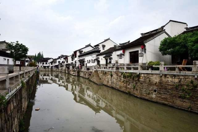 【行摄云南】蒙自：街头白樱绽放 尽显冬日诗意